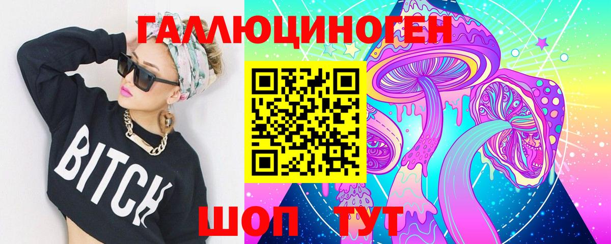 Чистополь  Псилоцибиновые грибы Psilocybine cubensis  Вход с VPN 